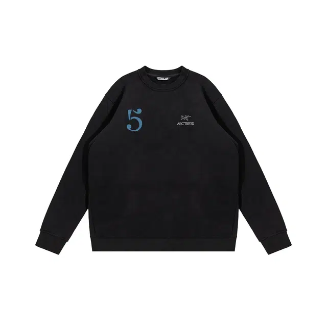 Arcteryx Emblem 5Logo