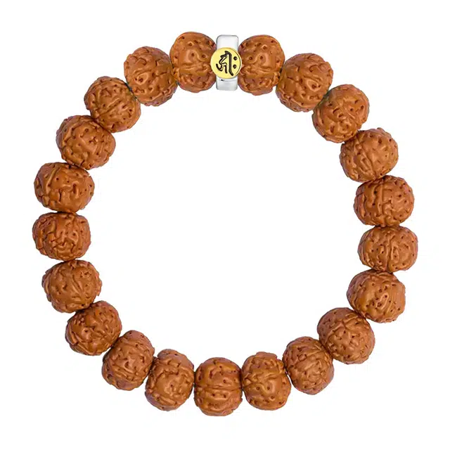 琛宬 八大守护神 八方来财招财纳福转运佛珠生十二肖本命年国潮轻奢高级感文玩佛珠绕指柔百搭#好运 金刚菩提 手串 男女同款情侣款