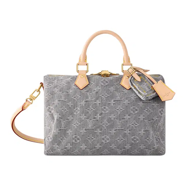 LOUIS VUITTON Speedy Soft 30