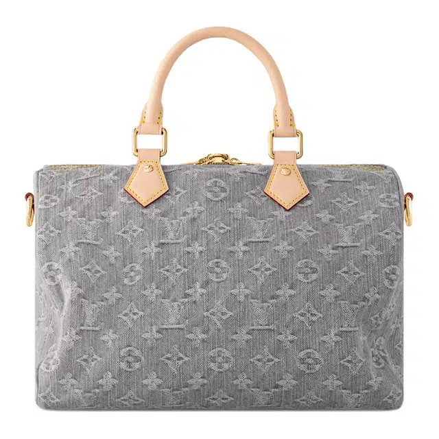 LOUIS VUITTON Speedy Soft 30