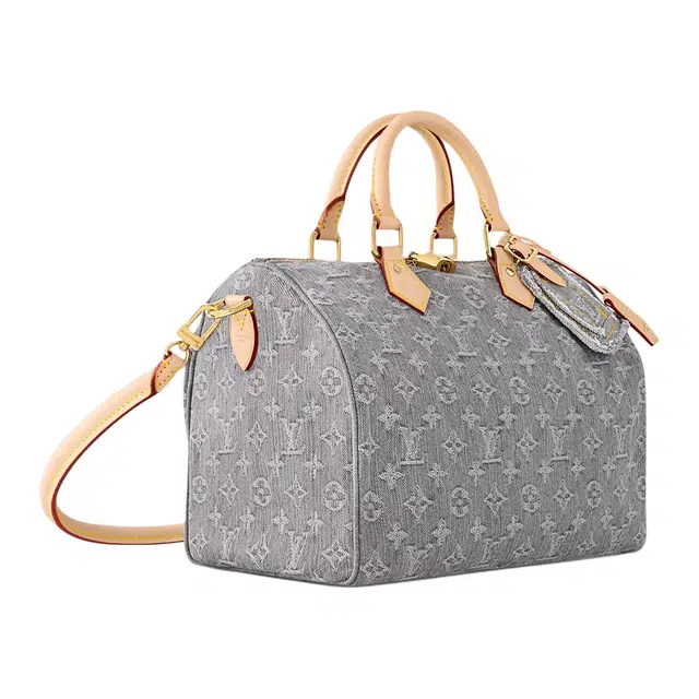 LOUIS VUITTON Speedy Soft 30