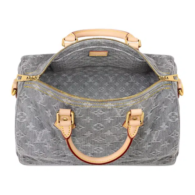 LOUIS VUITTON Speedy Soft 30
