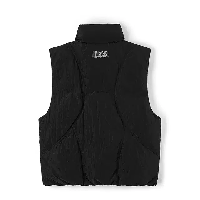 Lee FW25 IndiGOANGEL CHEN