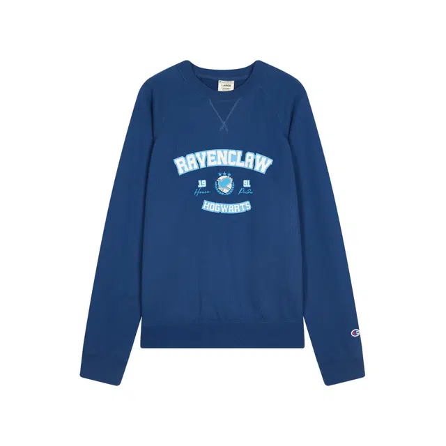 Champion x Harry Potter FW25 Hoodie