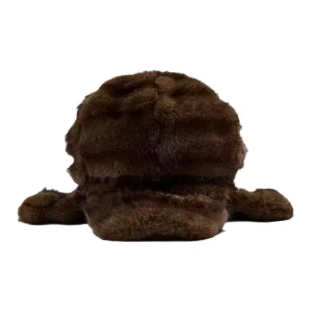 ZARA x Harry Lambert