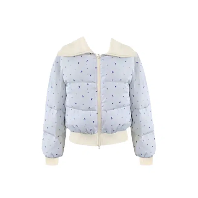 望莱仕 韩版学院风碎花短款显瘦棉衣外套冬季加厚不臃肿保暖面包服棉服 女款