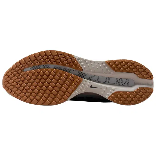 Nike Pegasus Premium