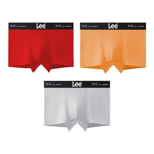 Lee 10A 3