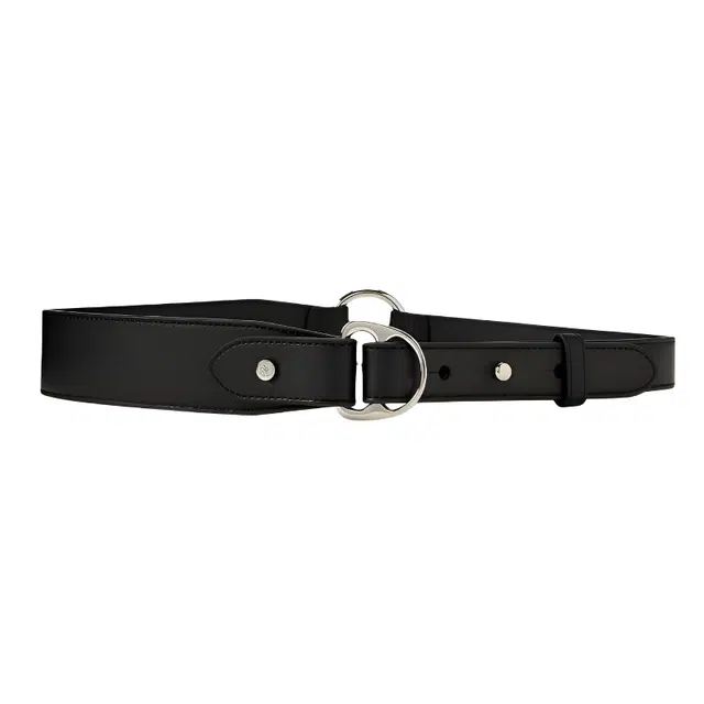 Polo Ralph Lauren D 00- 3.8cm