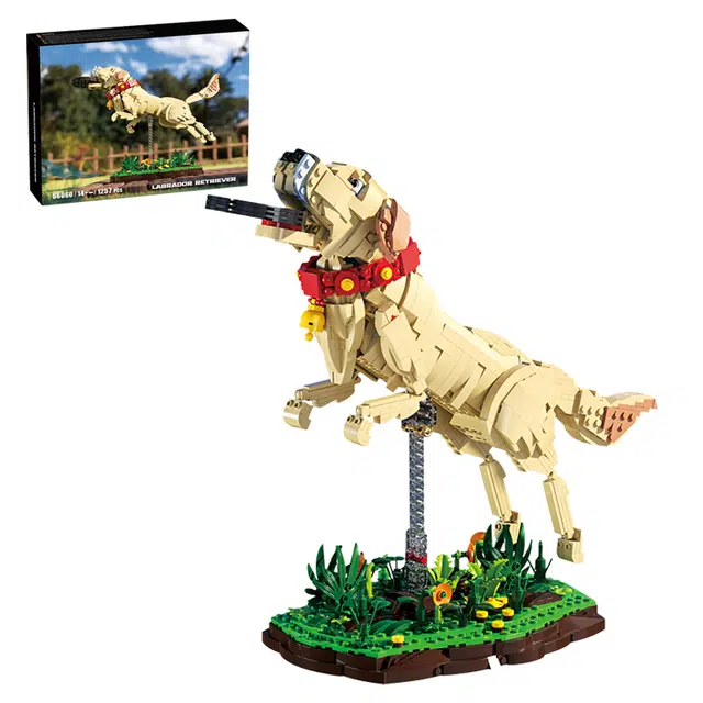 LABRADOR RETRIEVER 1257pcs YMXJM66060