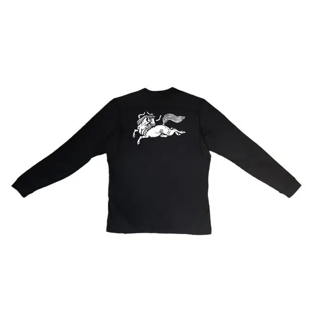 Arcteryx RHO LT logo