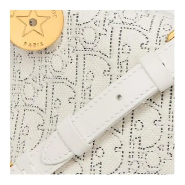 Dior Diorstar Shoulder Bag