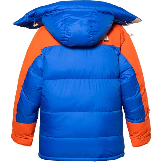 GUCCI x THE NORTH FACE SS22