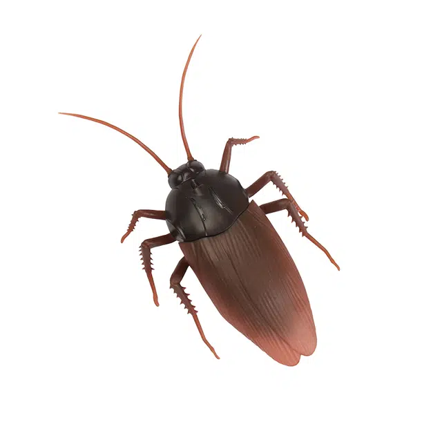 馨枕居 会动的蟑螂 有趣奇特 创意整蛊玩具