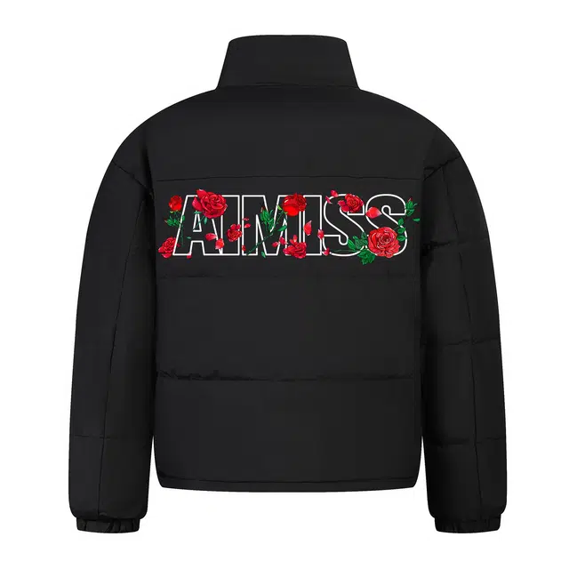 AIMISS Logo
