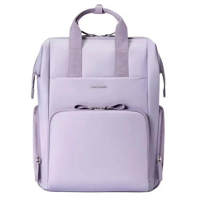 SAMSONITE ASH