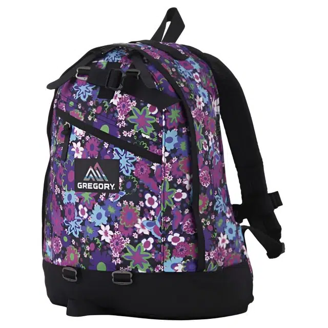 GREGORY Gregory Fine Day V2 18L
