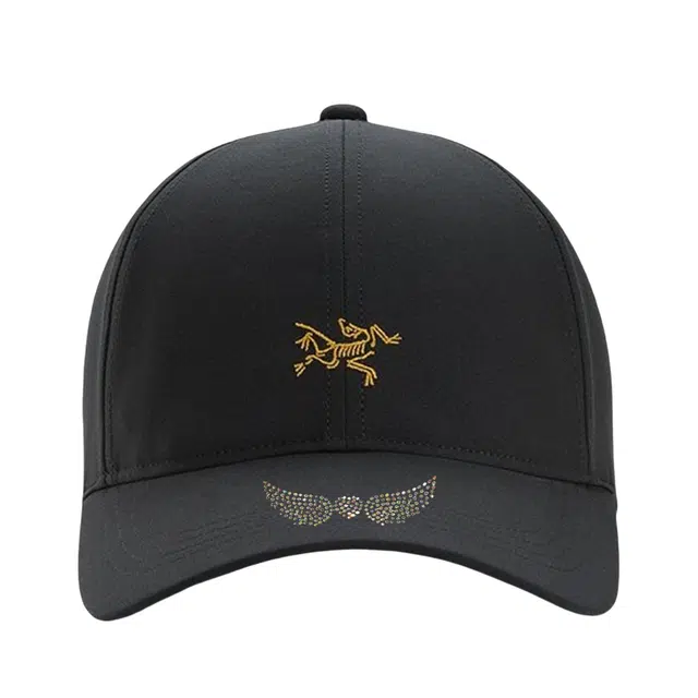 Arcteryx logo