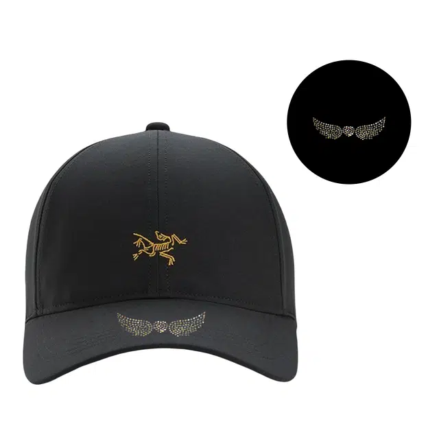 Arcteryx logo