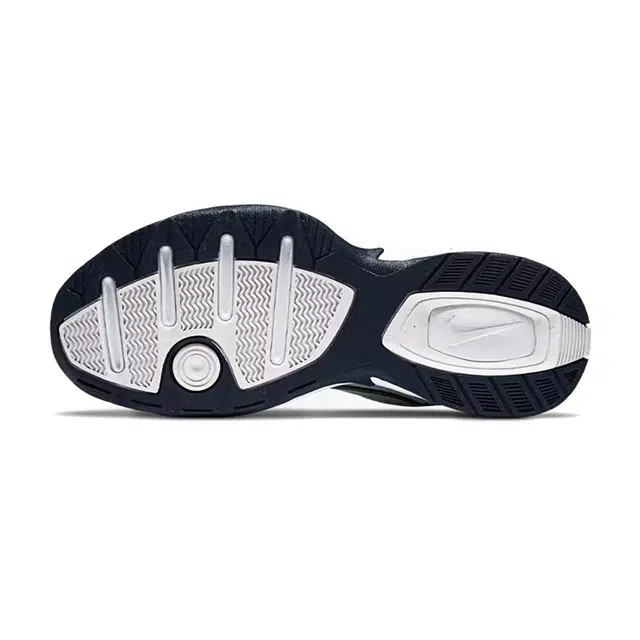 Nike Air Monarch 4 Flame Blue Pink