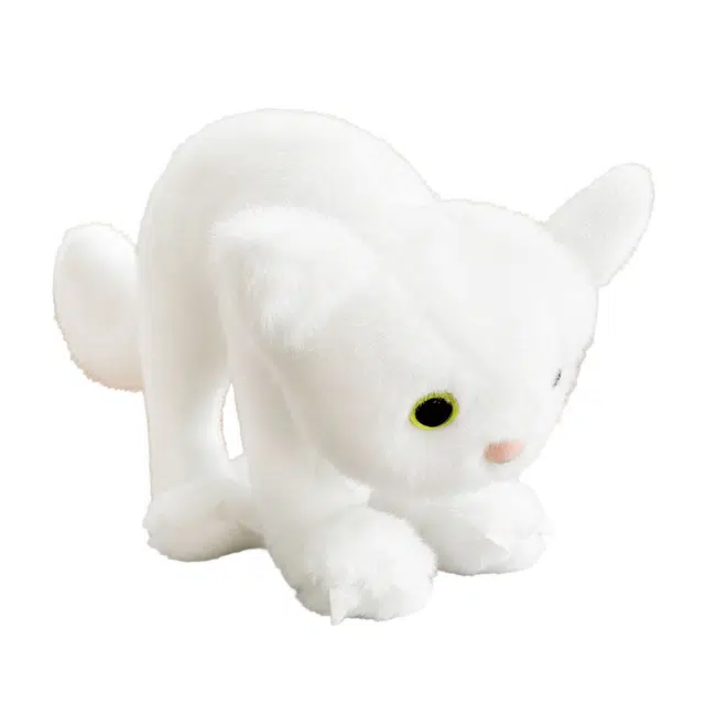30cm
