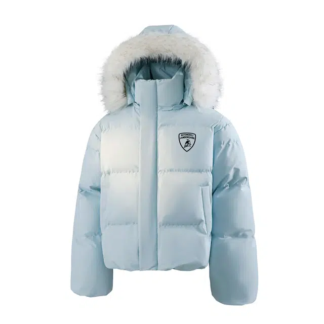 Automobili Lamborghini logo