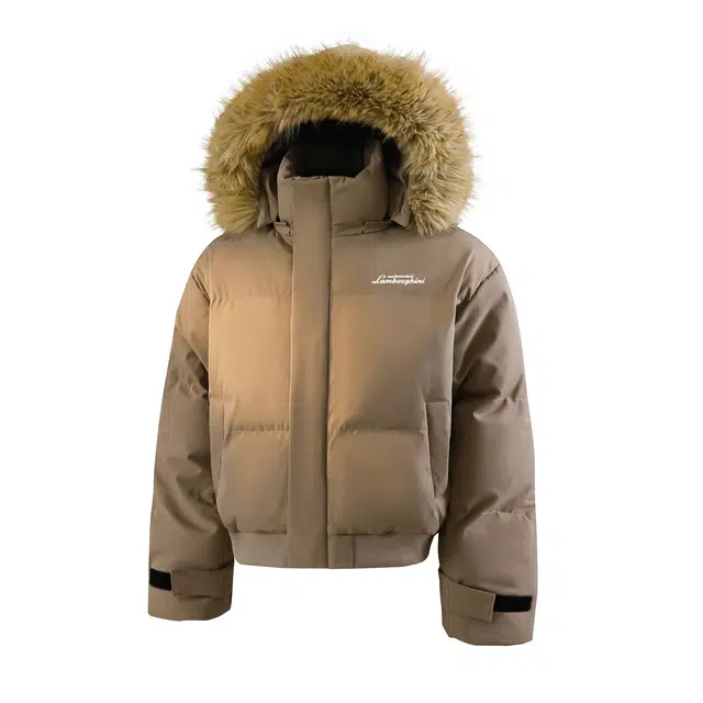 Automobili Lamborghini logo