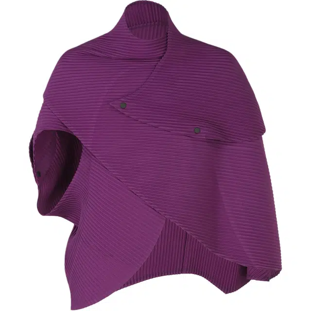 Homme Pliss Issey Miyake FW25