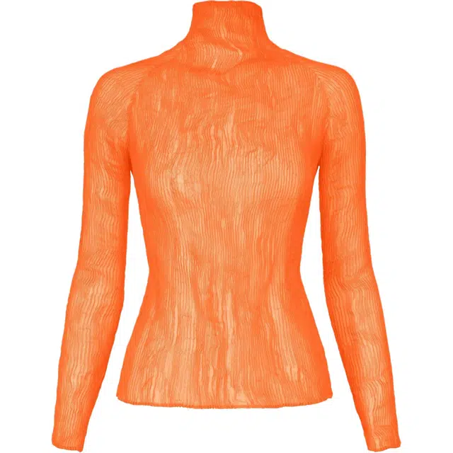 ISSEY MIYAKE FW25T