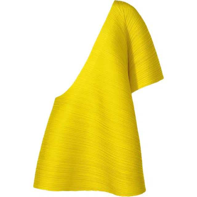 PLEATS PLEASE ISSEY MIYAKE FW25