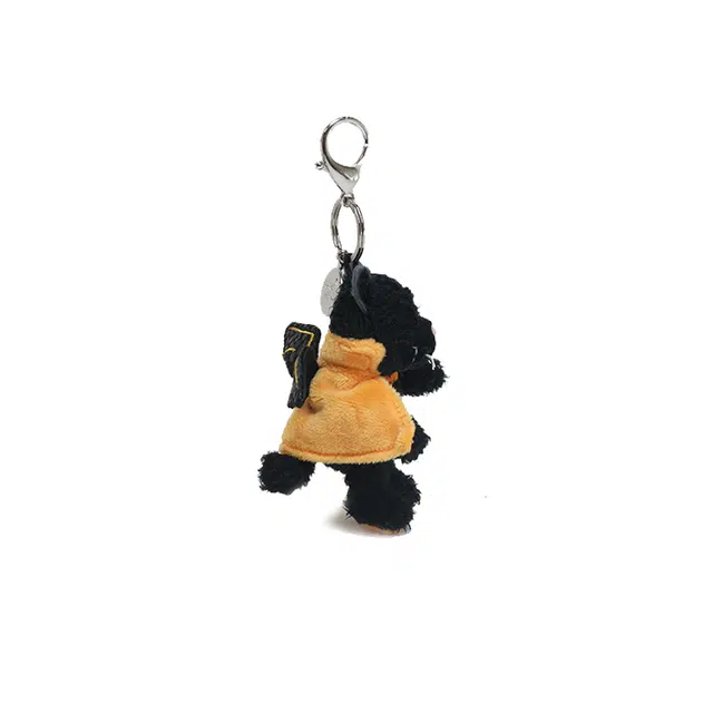 NICI 10cm
