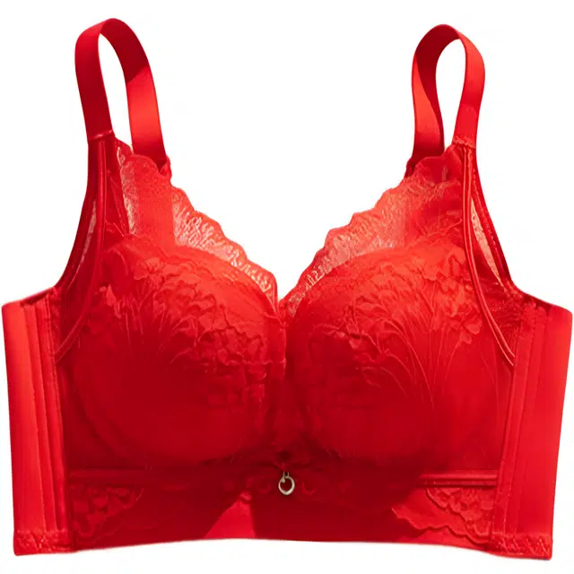 图兰朵 植物花卉蕾丝小胸聚拢舒适无钢圈收副乳美背调整形文胸 女款