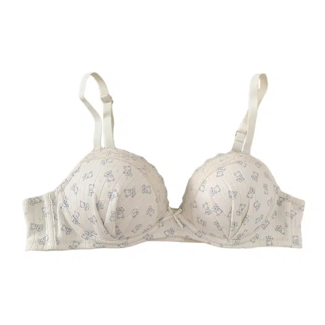 芬腾 小胸显大聚拢舒适透气法式甜美少女内衣防下垂收副乳厚杯文胸 女款