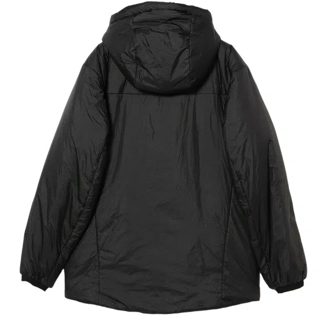 Arcteryx x BEAMS NUCLEI SV Logo