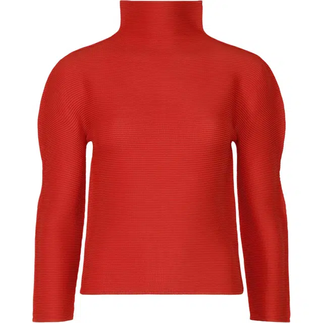 ISSEY MIYAKE FW25T
