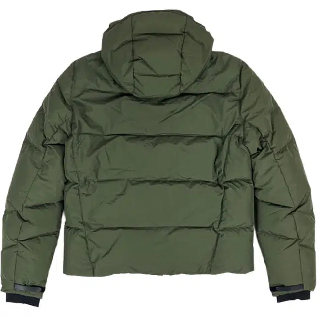 Polo Ralph Lauren FW25 Logo