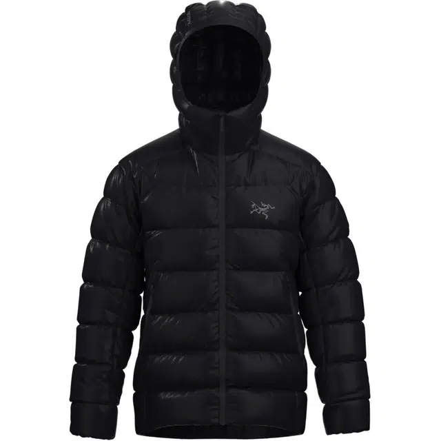 Arcteryx CERIUM SV