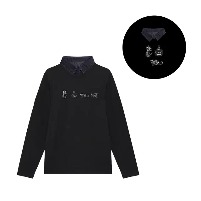 Arcteryx KRAGG logoT