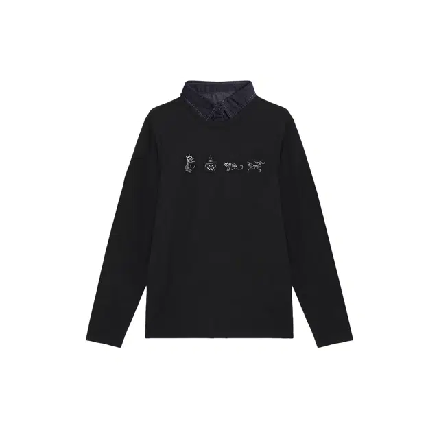 Arcteryx KRAGG logoT