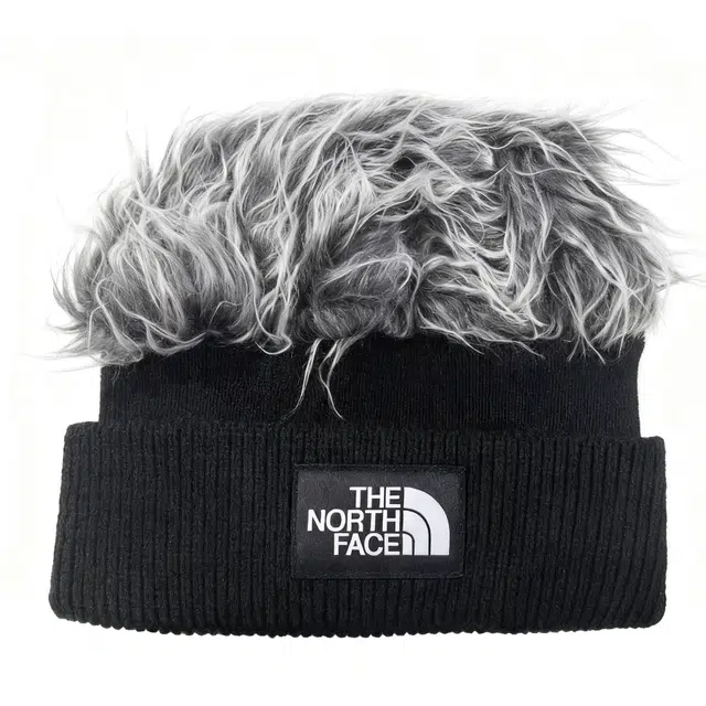 The North Face Fuji Vision Beanie Black