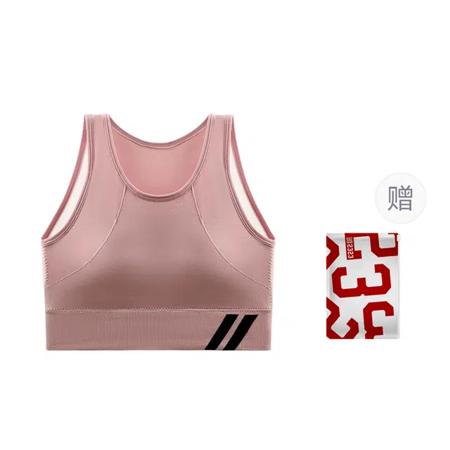 二三二三 聚拢上托防震塑形美背背心吸汗透气速干亲肤柔软日常通勤跑步文胸 女款 礼袋装