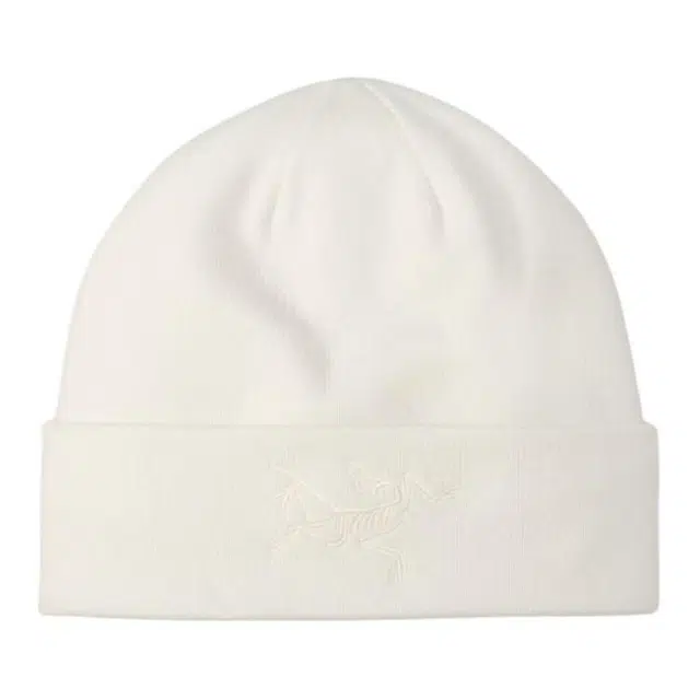 Arcteryx Arctic Silk