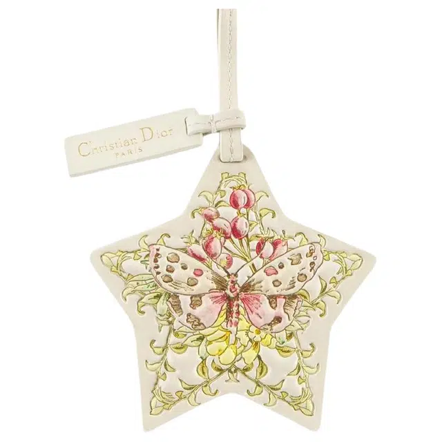 DIOR Lucky star