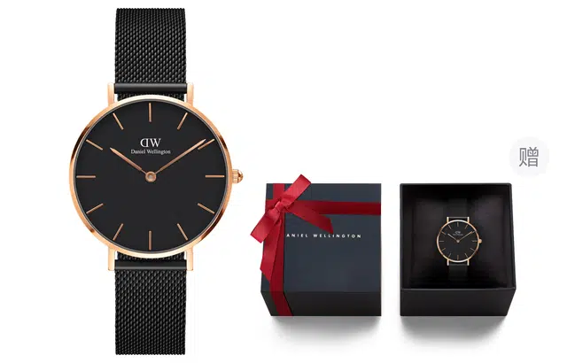 Daniel WellingtonPETITEDanielWellington DW00100201