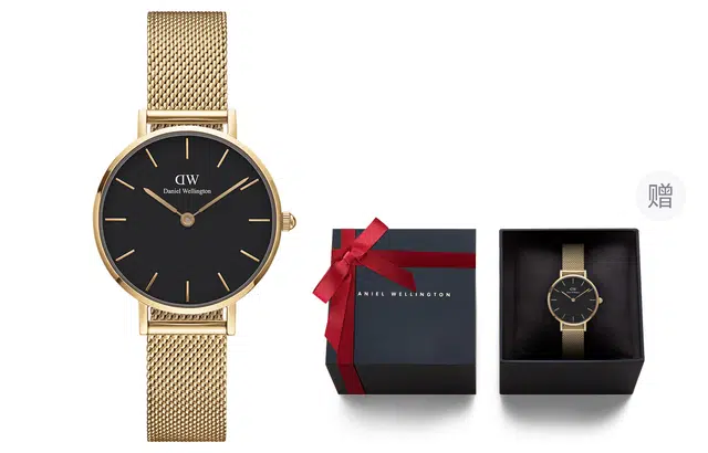 Daniel Wellington PETITEDanielWellington DW00100349