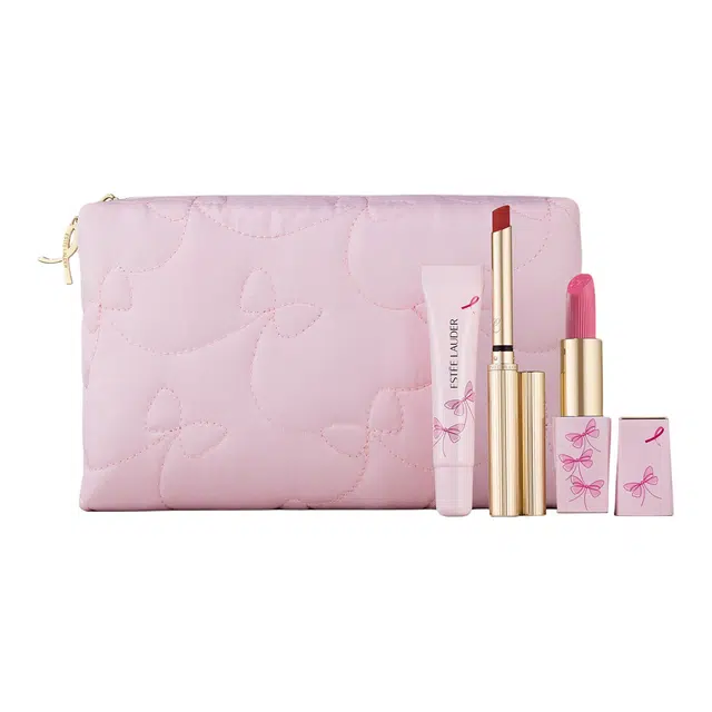 雅诗兰黛 蜕变希望唇膏系列 粉红丝带彩妆套装 滋润易上色