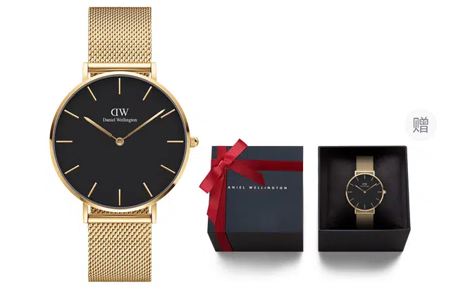 DWDanielWellington PETITE dw DW00100345