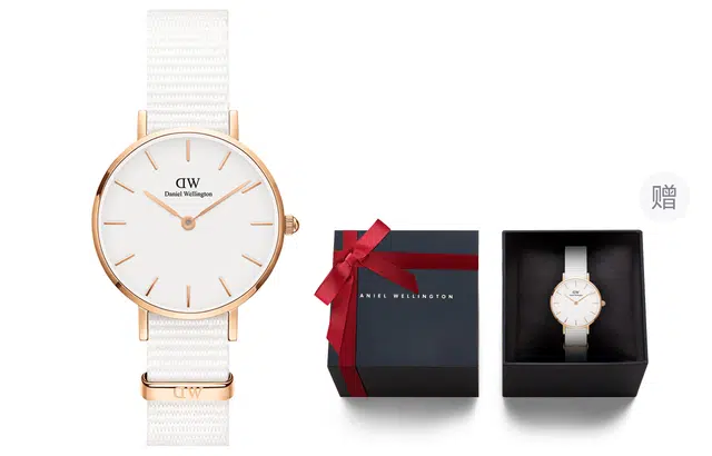 Daniel Wellington DanielWellington PETITE DW00100319