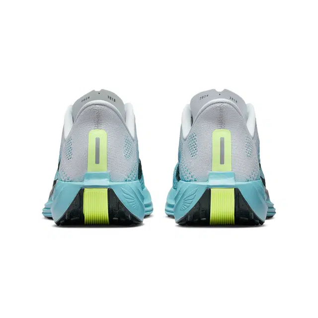 Nike ZoomX Pegasus Plus