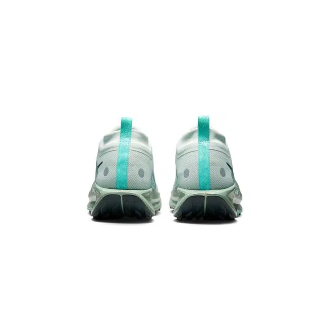 Nike Pegasus Trail 5 React